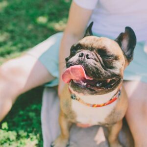 Praesent hendrerit arcu lectus